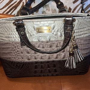 Brahmin Mini Asher Tote Heather Vineyard